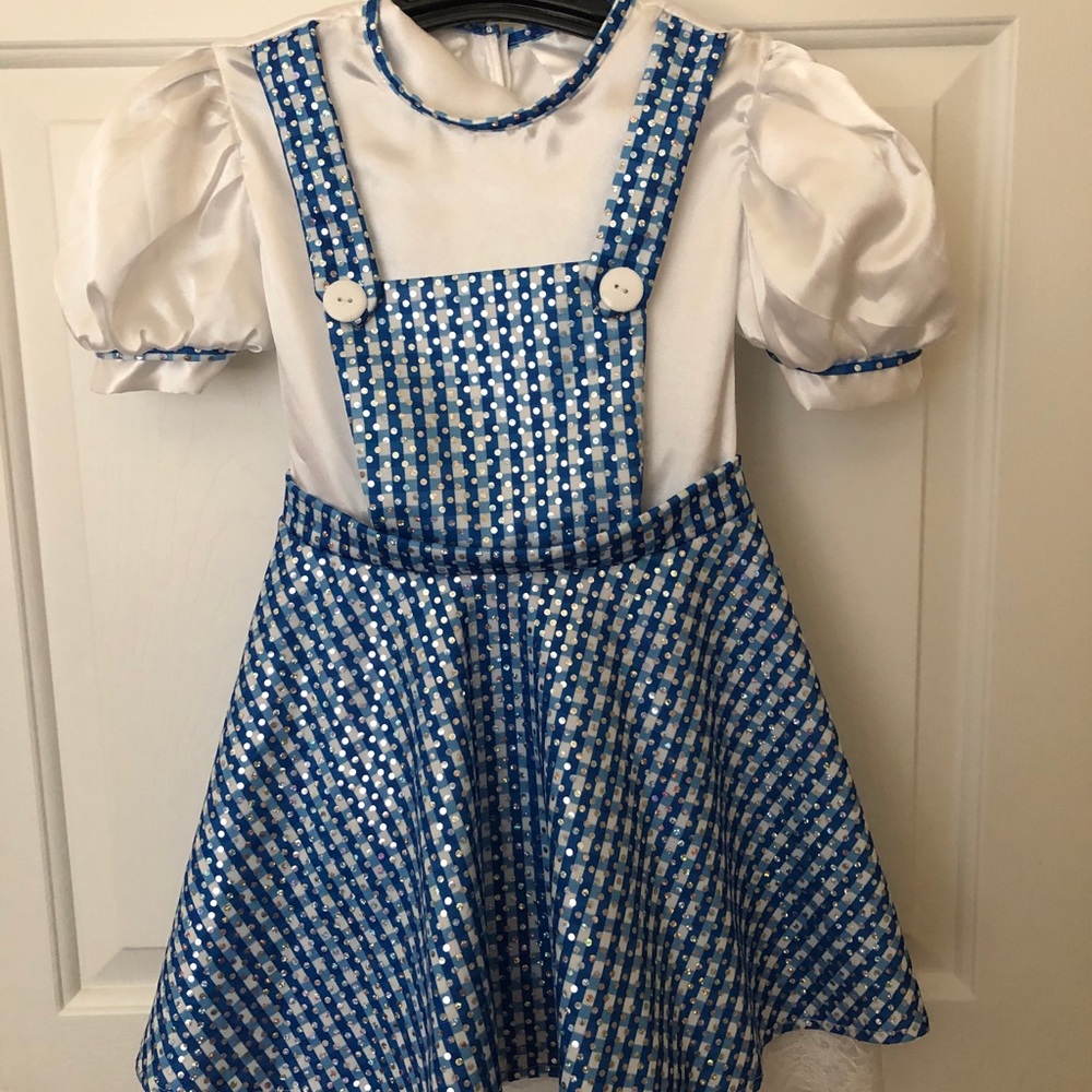 Dorothy from Wizard of Oz Costume Sz small